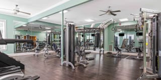 The Asher at Sugarloaf Gallery 3