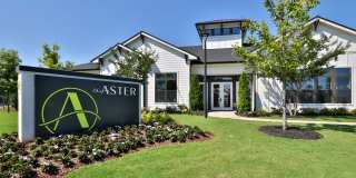 The Aster Gallery 42