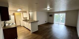 Beautiful 2 Bed 2 Bath Apartment - FIRST MONTH FREE!! Gallery 17