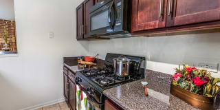 TGM Willowbrook Gallery 6