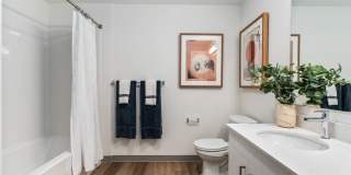 Solera Apartments Gallery 36