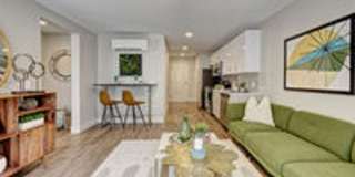 Sage Allen Gallery 13