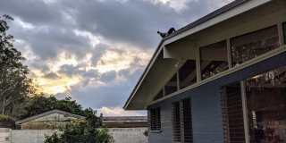 Country living in the City - Huge bonus room, entertainment deck, covered lanai and lots of storage. Gallery 24