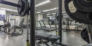 Pearson Square Gallery 9