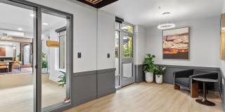 Adera Gallery 17