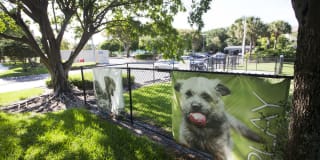 The Atlantic at East Delray Gallery 11