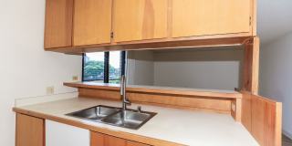 Piikoi Atrium - studio,1 bath with 1 covered parking stall Gallery 13