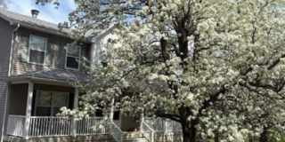 1709 Route 517 Gallery 1