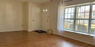 87 Sassafras Court Gallery 4