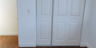 21862 Dracaea Gallery 8