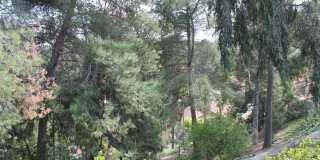This incredible 4 bedroom single level home with private GATE  entry Gallery 9
