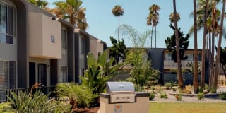 Sunset Gardens Gallery 10