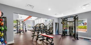 TGM Meadow View Gallery 25