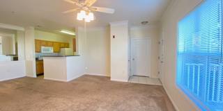 2 Bed 2 Bath 2nd Floor Condo (Palms of Cortez) Gallery 9