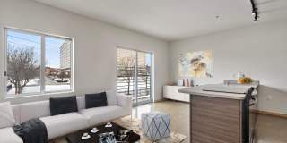 The Auburn Gallery 1