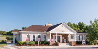 Lee Trace Gallery 22