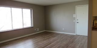 32724 Harper Gallery 2