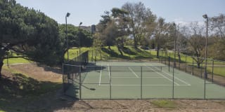 Cypress Creek Gallery 38