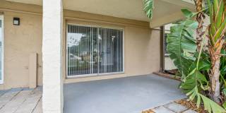 Buena Vista Gallery 24