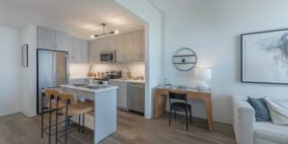 The Carson Gallery 2