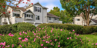 Flower Fields Condominiums Gallery 12