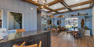 Everly at Morrison Ranch Gallery 50