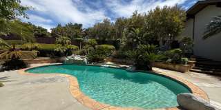Newly Renovated 4 Bedroom Residence in La Jolla Gallery 26