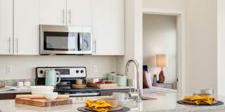 One Webster Apartments Gallery 6