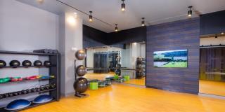 South Alex Gallery 21