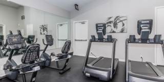 Palm Court Apartment Homes Gallery 2