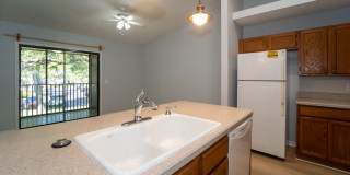 Conquistador 2/2 Condo Gallery 9