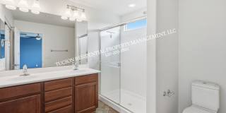 10568 Desert Drifter Place Gallery 23