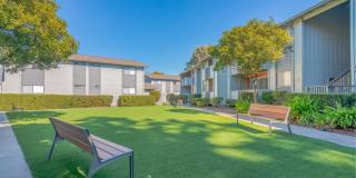 Sunnyvale Crossings Gallery 19