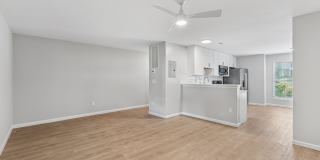 Nu Six Forks Gallery 67