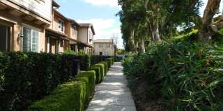 Beautiful 4 bed, 2.5 bath unit in Orange. Gallery 5