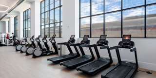 The Darien Gallery 19