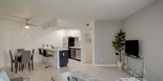 Monaco 31 Gallery 29