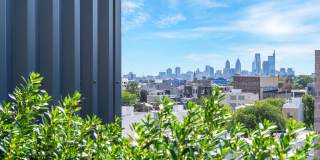 Hagert & York Gallery 50