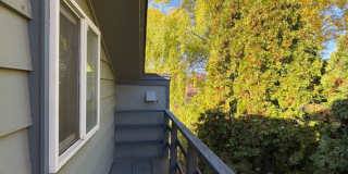 Expansive Updated Home with Creek Views & Prime Location Gallery 50