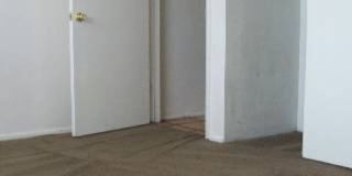 **Spacious 4 Bedroom Home in the Heart of Tempe!** Gallery 4