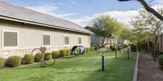 Ironwood at Happy Valley Gallery 17