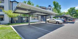 Cottonwood Creek Gallery 27