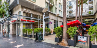 Sunset and Vine Sunset and Vine Gallery 9