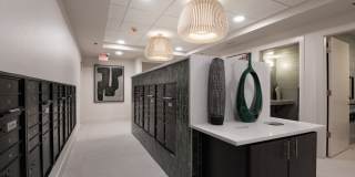Allaso Olivine Gallery 10