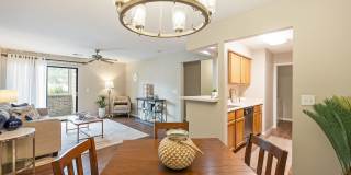 Woodspring Gallery 80