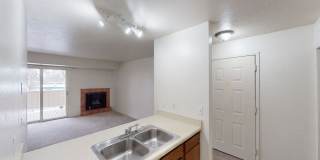 Russian Jack Gallery 10