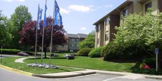 Carlyle Landing Carlyle Landing Gallery 8