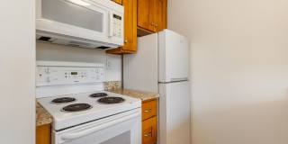 Marlene Renee Gallery 8