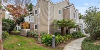 Beautiful 3 Bedroom Furnished Condo - Just Steps Away from Strands Vista and Beach! Gallery 22