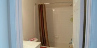 8250 RED CARNATION Court Gallery 11